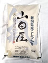 新潟こしひかり