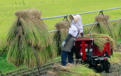 産地レポートイメージ